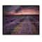 Designart - Sunrise & Dramatic Clouds Over Lavender Field IX - Farmhouse Print on Natural Pine Wood